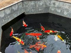-西安市广仁寺