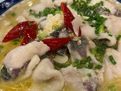 -圣厨牛腩(青春岛社区玉寿苑店)