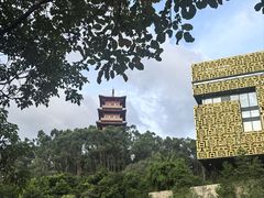-香市公园-中国沉香文化博物馆