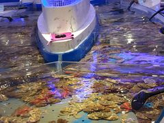 -澜悦港海鲜体验主题餐厅