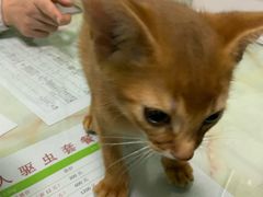 -百信宠物医院(东升街店)