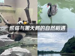 -宁波野生动物园