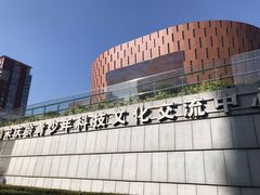 -中国宋庆龄青少年科技文化交流中心