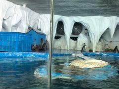 -太平洋海底世界