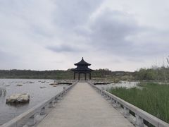 -江苏三台山国家森林公园