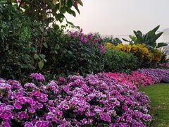 -光明小镇欢乐田园