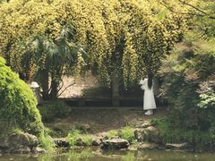-南京古林公园