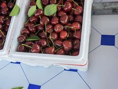 -南戴河海滨市场