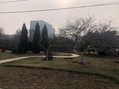 -黑石礁公园