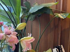 -甜阿姨·天台花园私房菜(万松园店)