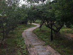 -白马涧龙池景区