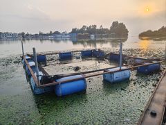 -西湖船菜(湖滨·碧水山庄店)