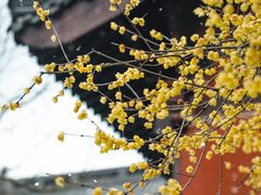 -钱王祠
