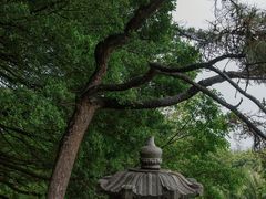 -草庵摩尼教遗址公园