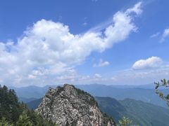 -牛背梁国家森林公园