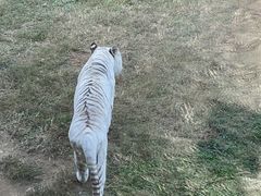 -济南野生动物世界