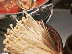 -季季山·云南野生菌火锅(上海首店)