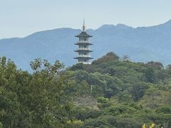 -风云岭森林公园