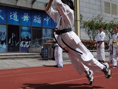 -极真空手道修远道场