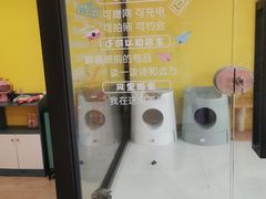 -Bastet sally猫舍购宠(静安店)