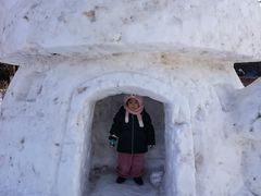 -沈阳奥体冰雪嘉年华