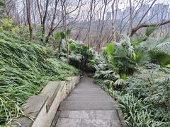-重庆彩云湖湿地公园