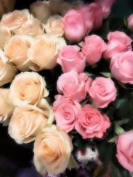 -Oasis Beauty水磨坊科技美肤中心