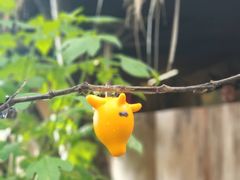 -优游吧斯邹族文化部落