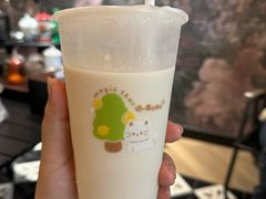 -猫的魔法密林(衣裳街店)