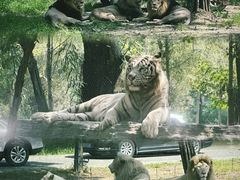 -秦皇岛野生动物园