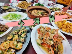 -板桥海鲜广场11排2号