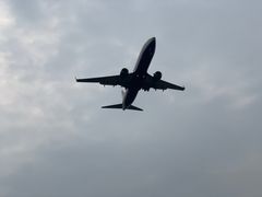 -空港花田景区