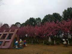 -秀丽东方