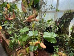 -昆明植物园