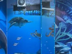 -小海豚•老字号海鲜餐厅(天涯店)