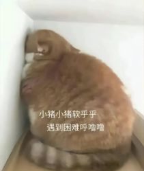 -YASAKI国际舞蹈中心