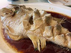 清蒸鲈鱼-南来顺饭庄·清真(南菜园店)