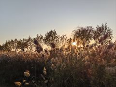 -南大港湿地风景区