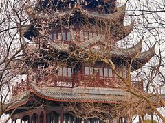 -上海海湾国家森林公园