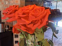 -LES ELITES 英集荟(南京西路店)