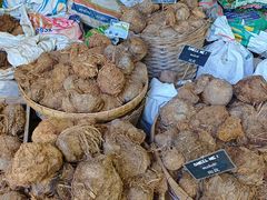 -大象粑粑造纸公园