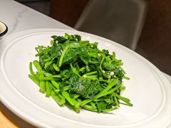 -阿露佳·舌尖上的安吉菜