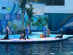 -深圳野生动物园
