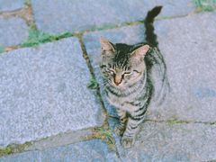 -上海植物园·停车场