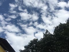 -阮老二·羊肉汤(黄甲店)