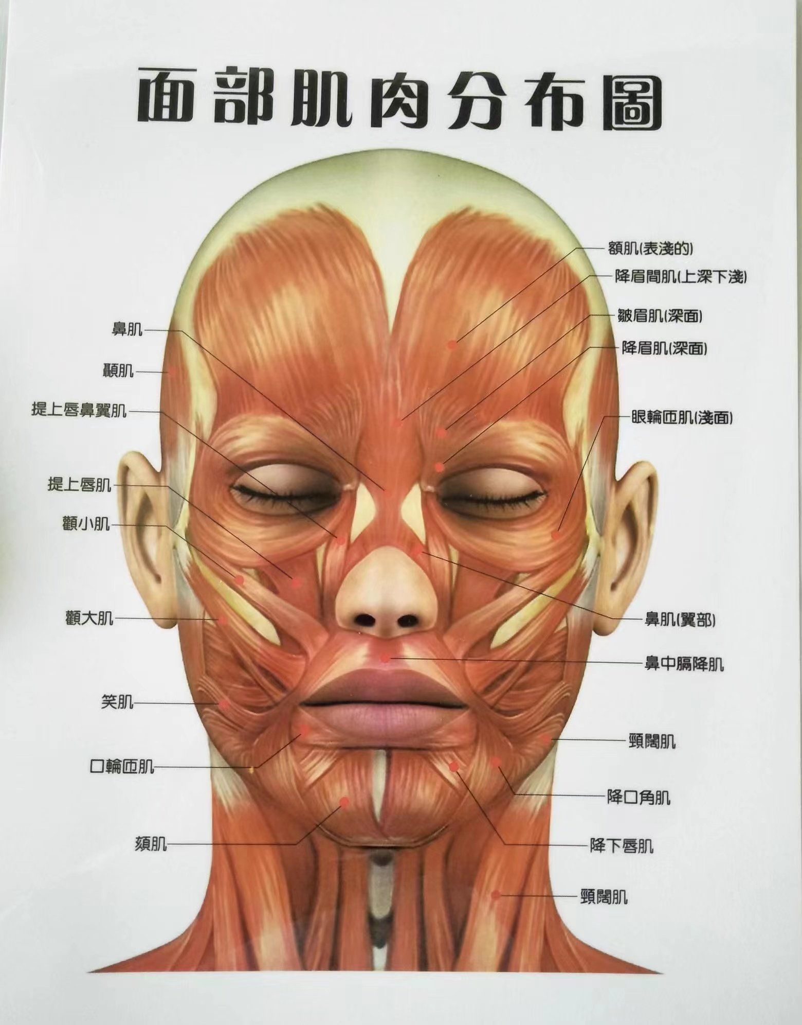 关爱美关注皮肤#紧致提拉面部轮廓 「沐琰护肤造型