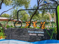 -焦岗湖旅游度假区