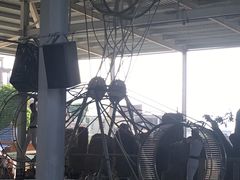 -泉州海丝野生动物世界