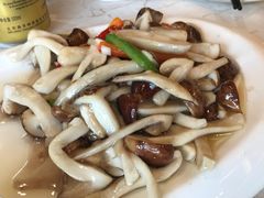 清炒赤松茸-马凯餐厅(长椿街店)