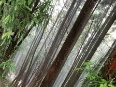 -井冈山风景名胜区